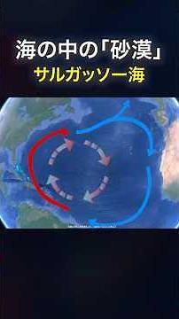 [Desert in the Sea] The Sargasso Sea, also known as the underwater desert