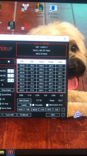 On throttle stop I can have a choice between PKG power, max power, or min power. What are the benefits of each of them and which one should I use if I want to game on the laptop?