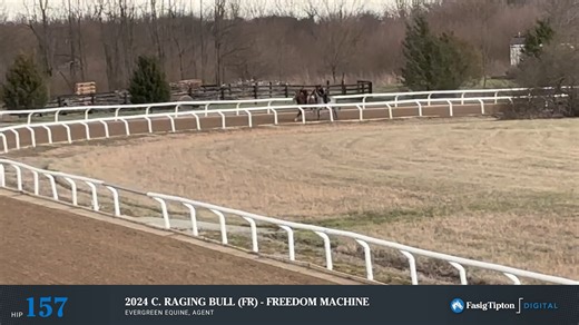 Hip 157 - Freedom Machine '24 - Fasig-Tipton March Digital Sale 2026 - Training Video