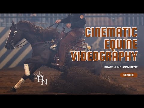Cinematic Equine Videography Breakdown