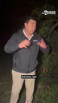 Storm causes numerous downed trees and wires in Burke, Va.