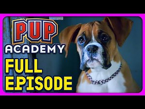 Most Valuable Pup | Pup Academy Full Episode S2E6