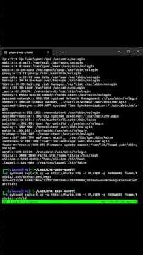 Arbitrary File Read in Camaleon CMS #exploit
