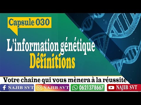 L'information génétique : définitions utiles
