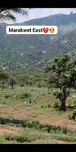 14K views · 342 reactions |  Sad .. | Western Guy | Facebook