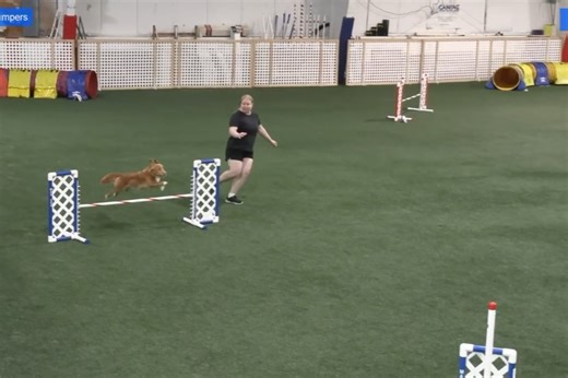 Victoria Pratt on Reels