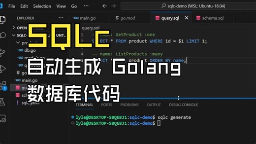 [学习]SQLc in Go —— 自动生成 Golang 数据库代码