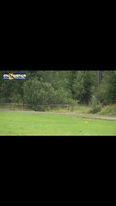 2.4K views · 267 reactions | This is how a vw golf should be driven #rally #fyp #vw | Rally Sverige | Facebook