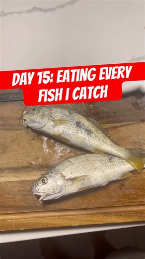 Day 15: Eating every fish I catch #fishing #fish #catchandcook #florida #saltlife #saltwaterfishing