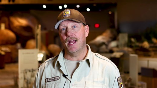 12 reactions |  Spotlight Clip: Bison Conservation for the Future  Oklahoma’s bison management program is paving the way for genetics conservation and partnerships that span refuges, national parks, and even tribal lands.  In this clip:  The long-term goals of preserving bison genetics 欄 How collaboration is shaping conservation efforts #geneticdiversity #oklahoma #conservationefforts | Sam Noble Museum | Facebook