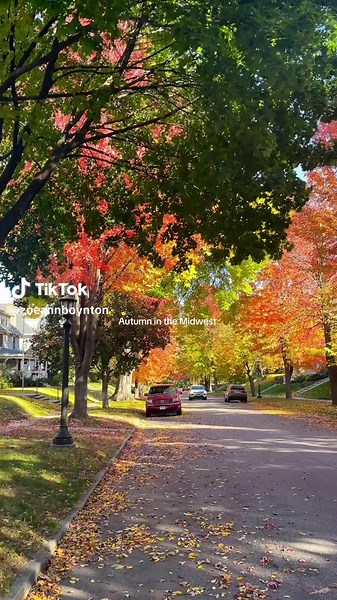 Autumn in the Midwest: Captivating Fall Aesthetics
