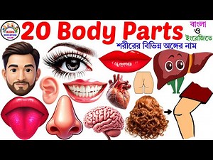 Human Body Parts | Learning 20 Body Parts in English​ | Body Parts Nursery for Tollders Vocabulary
