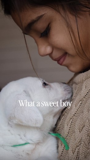 • • Maple’s babies are beginning to be more active. This little guy is happy breakfast is on its way! • • #labpuppy #englishlabrador | Hickory Bluff Labradors LLC