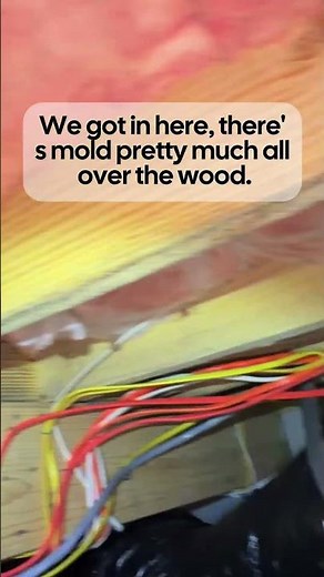 Why This Crawl Space Always Has Moisture Problems