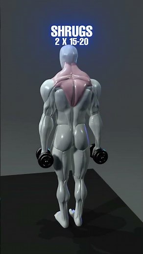Here’s how to turn your back into a perfect V-shape.