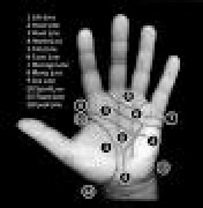 Learn to Read Your Own Palm