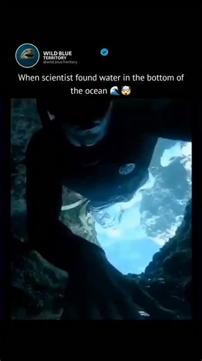 Wild blue territory on Instagram: "🤯 Scientists found water at the bottom of the ocean, but not how you might think! 🌊 Dive into the mesmerizing world of brine pools! These incredible underwater environments are essentially super salty pockets of water on the seafloor. 🤫 Their density keeps them separate from the surrounding ocean, creating a unique chemical haven for life! Did you know about these hidden underwater wonders? Let us know in the comments! 👇 #BrinePools #OceanMysteries #DeepSea