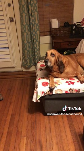 Meeting My Brother Tiberius for the First Time | Heartwarming Reunion