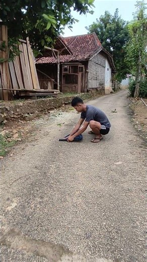 Creative idea! Catching animals using a grabbing tool. #animlals #videoshort