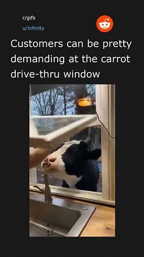 Daily Top Reddit Posts #66. 03/02/22. Top post in r/gifs.