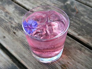 How to Make a Magical Himalayan Balsam Gin • Craft Invaders