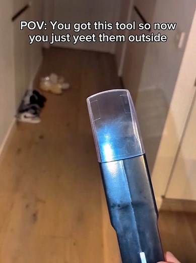 Essential Bug Catcher for Every Aussie Home
