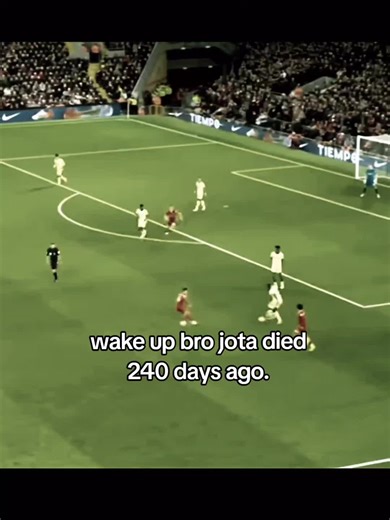 Remembering Jota: A Tribute to a Fallen Star