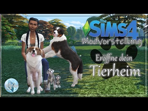Animal Shelter Mod | Tierheim-Mod | Sims 4 Modvorstellung | LillyPut