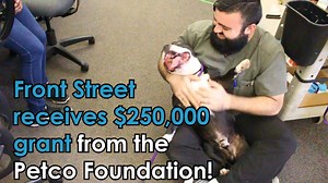 Front Street receives $250,000 grant from the Petco Foundation! This incredible organization once again demonstrates its commitment to our life saving work, and because of them, we've been able to save more lives than ever. We recently got the exciting news that they'll be granting Front Street an additional $250,000 over the next two years, and we plan to use it well to provide improved care for animals and expand our programs to get more pets back home or into new homes. Please help us thank t