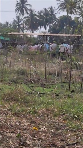 Viral Penguin Move Reverse to Community: Here Community showed back to Alone.#end #destination #one