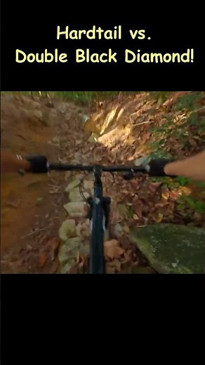 Cheap Hardtail vs Double Black Diamond: Can it survive? #mtb #hardtail