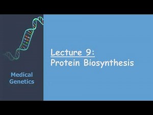 Protein Biosynthesis