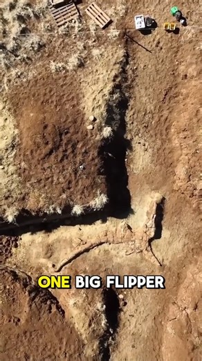 18K views · 382 reactions | Queensland’s newest giant makes a splash!...