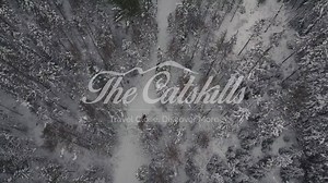 With its majestic peaks and valleys, wildlife, rivers, and forests, the Catskills Region makes for an ideal snowmobile adventure this winter! | Visit The Catskills