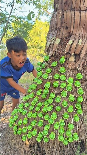 Survival Skills: SMART idea and USEFUL Lakdi Katunga #bushcraft #campping#outdoors #useful #idea