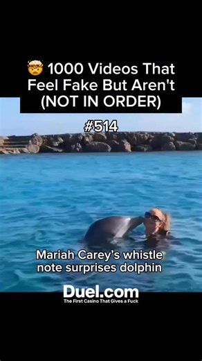 Surreal Footage on Instagram: "In 2019, a video captured an unusual and charming interaction between singer Mariah Carey and a dolphin. As Carey hit one of her signature whistle notes — so high it overlaps with the frequencies dolphins use to communicate — the animal appeared startled, letting out a sudden vocalization as if replying to her. The moment amused viewers worldwide, blending human artistry with animal curiosity in a way few performances ever could. Though it’s impossible to know how 