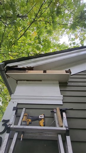 Warning: large pets. | Highfield Joinery