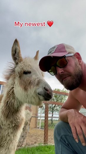 Guy_n_donkey on TikTok