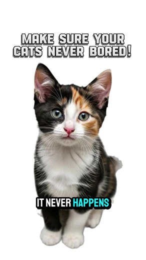 Keep Your Cat From Getting Bored: Easy Ideas & Toys