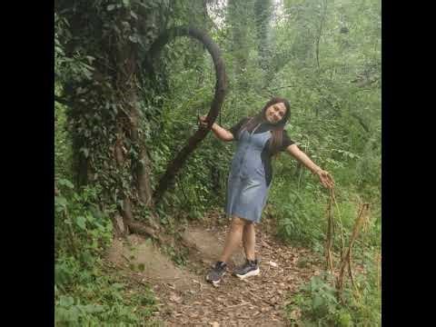 AI inspector pati ....ki sachi hath aaye