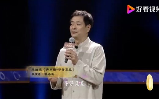 中华好诗词 诗词朗诵 《声声慢·寻寻觅觅》 濮存昕