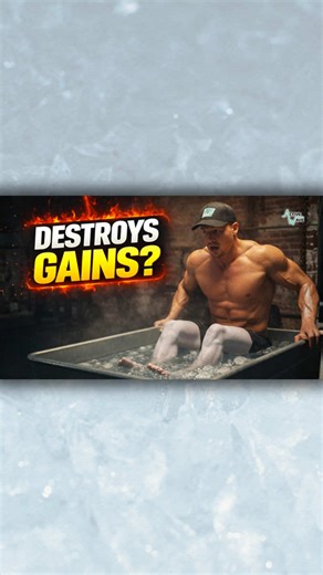 Cold plunge timing matters more than you think. If you’re doing an ice bath after workout sessions, you could be killing muscle growth without realizing it. Cold water immersion can improve recovery — but new research shows post-workout cold plunges can blunt hypertrophy if your timing is wrong. This video breaks down the science of cold water immersion and muscle growth using the latest 2024–2026 research. We cover: - When cold plunges help recovery - When ice baths sabotage hypertrophy - The e
