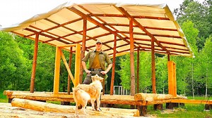Together with my dog i am building a sizable temporary roof for my off grid log home.#survival #adventure #wilderness #camping #bushcraftcamping #logcabin #cabin | Blondielovesballs