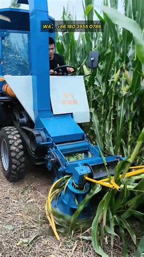 60hp mini forage harvester, mini forage harvester, small forage harvester