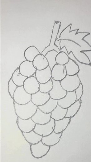 How to Draw Grapes! 🍇 Easy Step-by-Step Sketch
