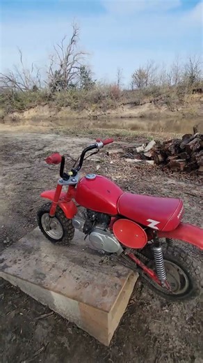 1981 Honda z50r walk around