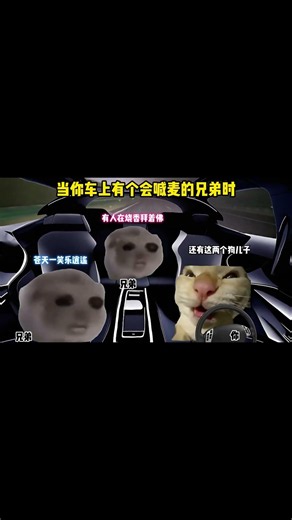 当你车上有个会喊麦的兄弟时#猫meme