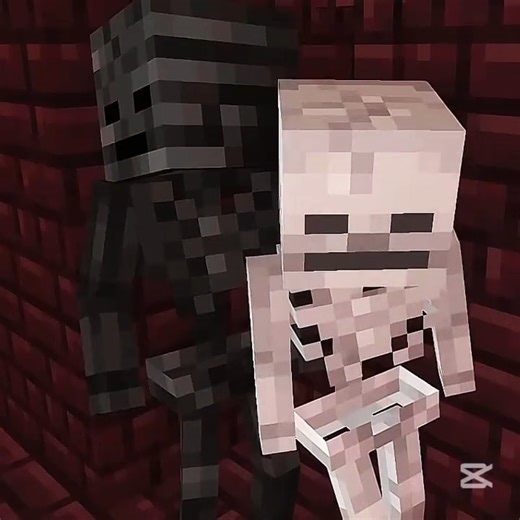 skeleton x wither💜 #minecraft #viral #monsterschool #minecraftmemes #witherxskeleton