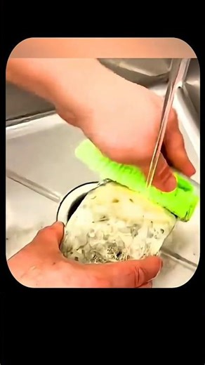 You Won't BELIEVE Why This Cheese Is Washed and Mold Brushed Off! #shorts