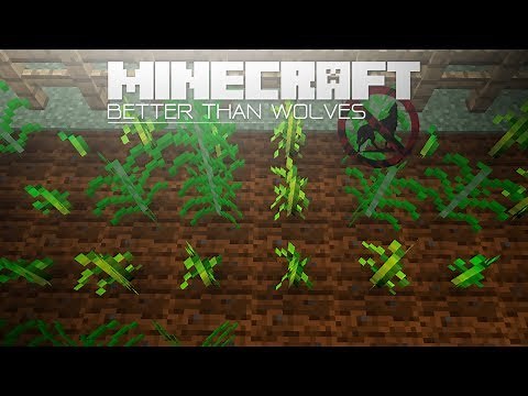 Better Than Wolves Ep 2: Le chanvre